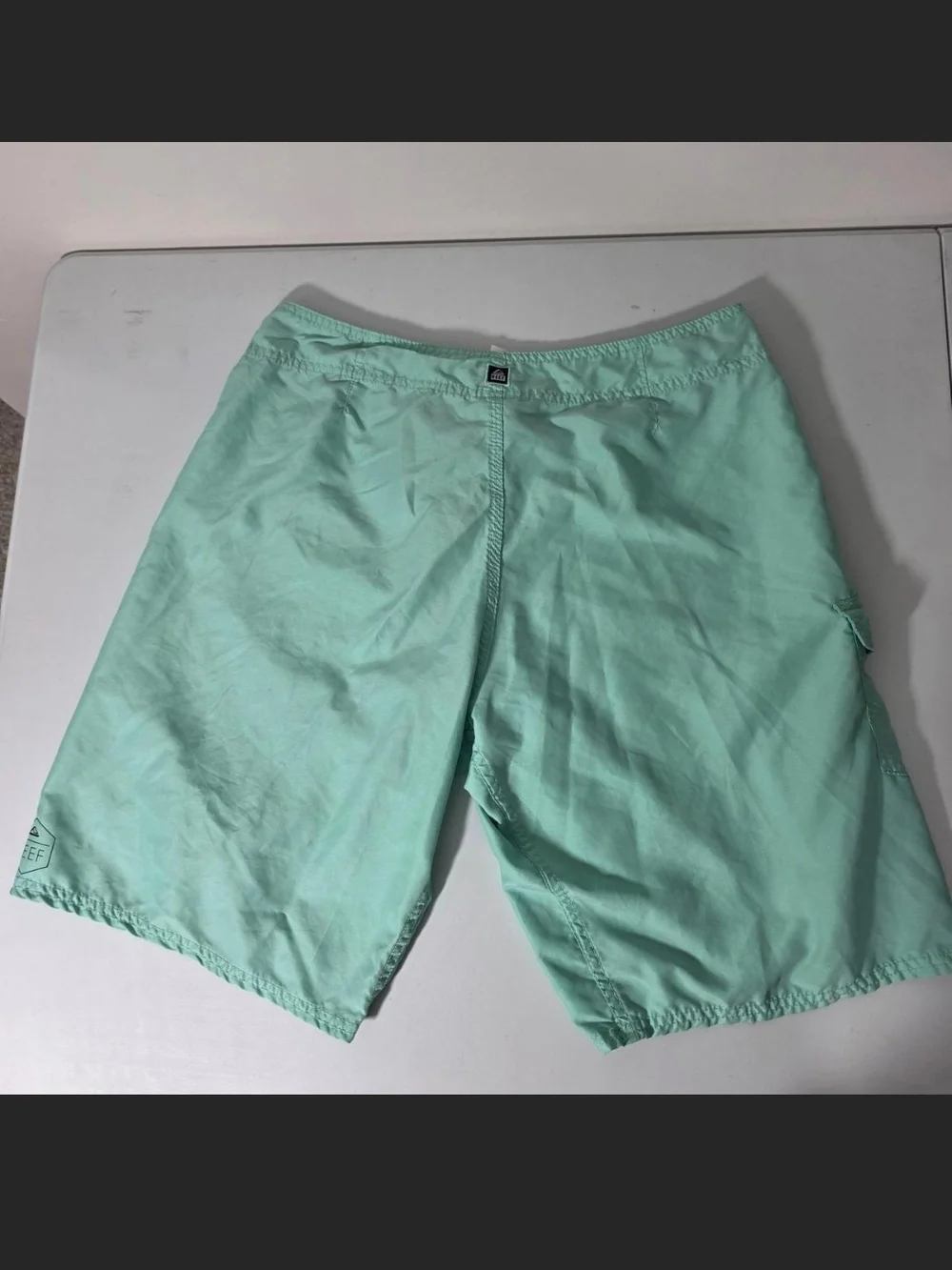 Reef Men's Mint Green Swim Shorts